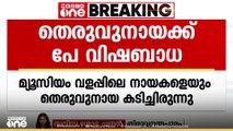 തിരുവനന്തപുരം മ്യൂസിയം പരിസരത്ത് അഞ്ച് പേരെ  കടിച്ച തെരുവ് നായക്ക് പേവിഷ ബാധ സ്ഥിരീകരിച്ചു...