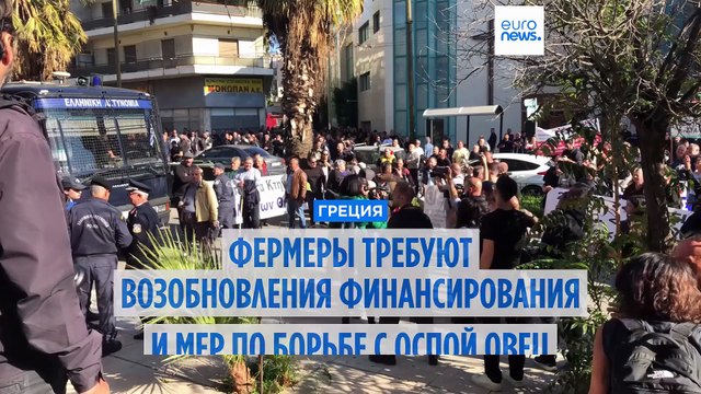 Греческие фермеры - против мер властей по борьбе с оспой овец и присвоения мошенниками средств ЕС