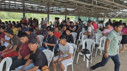 Feria de reclutamiento impulsa reactivación bananera en Bocas del Toro