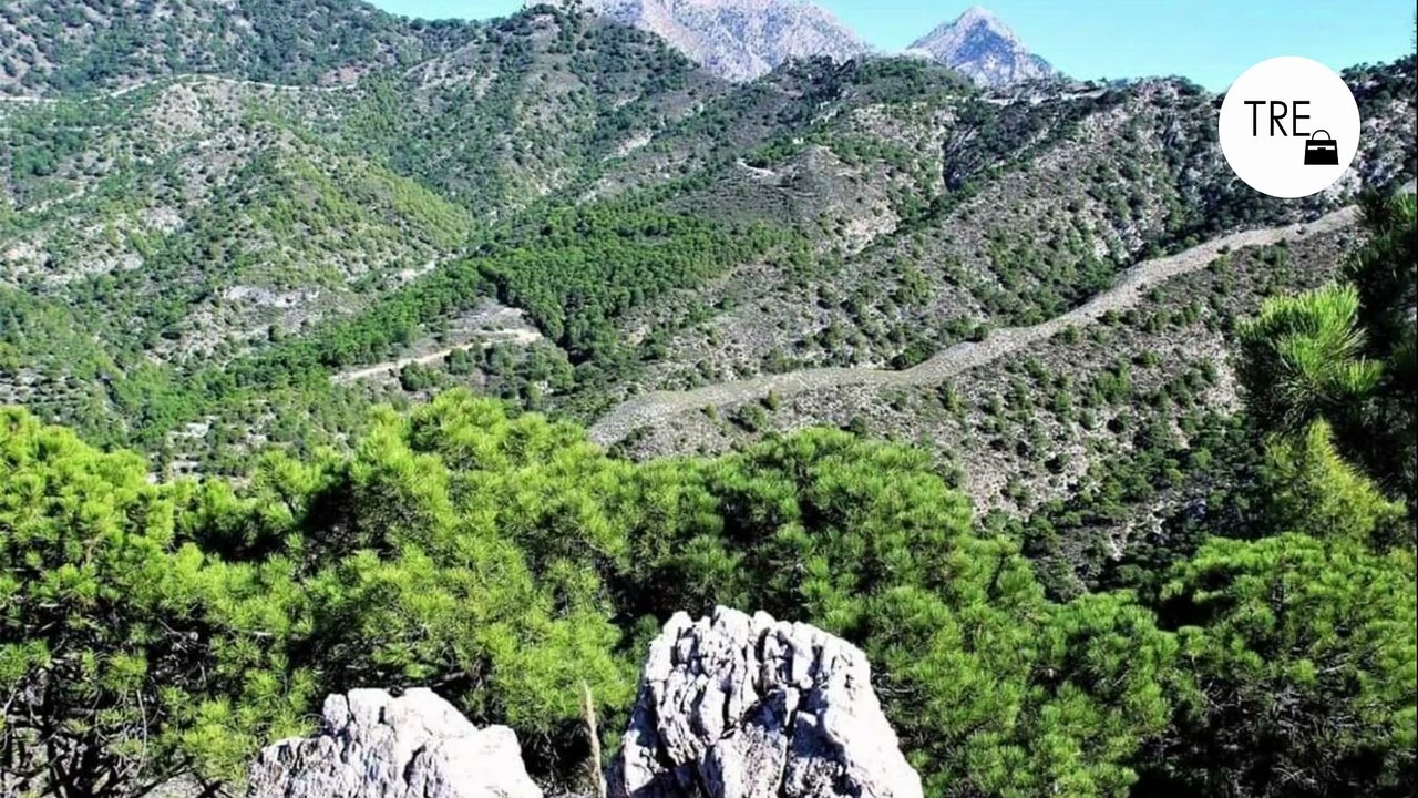 La ruta de senderismo más bonita de Málaga: pasarelas, molinos y un calzadas romanas entre pueblos con encanto