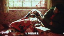 深度解析《秋菊打官司》这是农妇告村官的故事,但也是我们的故事