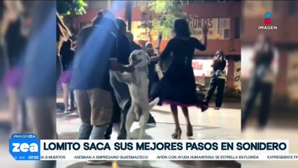 VIDEO: Perrito muestra sus mejores pasos de baile