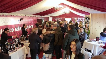 PSR Campania - Il progetto Campania. Wine al Merano Wine Festival 2025  (11.11.25)