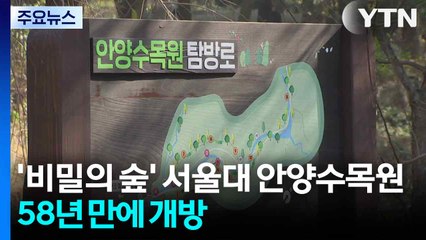 '비밀의 숲' 서울대 안양수목원 58년 만에 전면 개방 / YTN