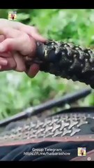 De Cincuenta A Gobernante De Todo Completo En Español