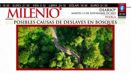 Posibles causas de los deslaves en bosques de Puebla preocupan a autoridades