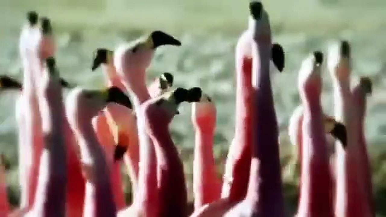 Hands remix