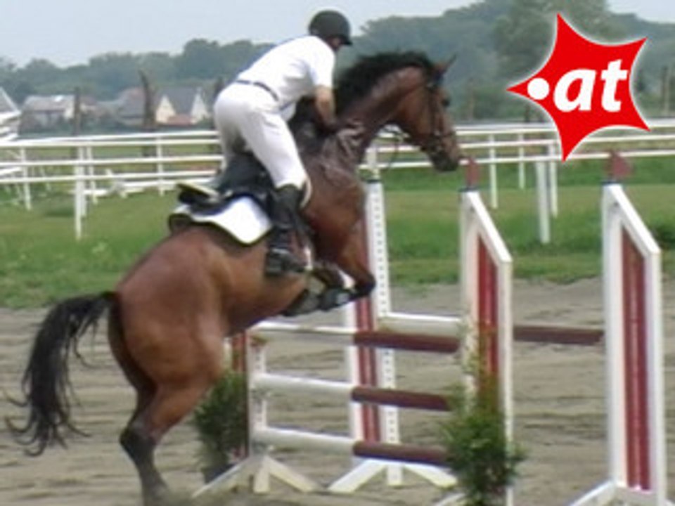 Walter Hämmerle, Springreiten, Kottingbrunn (2008-012)