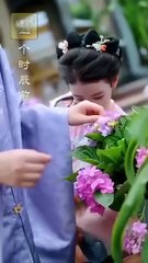 My Hockey Alpha Episodes - Full Movie