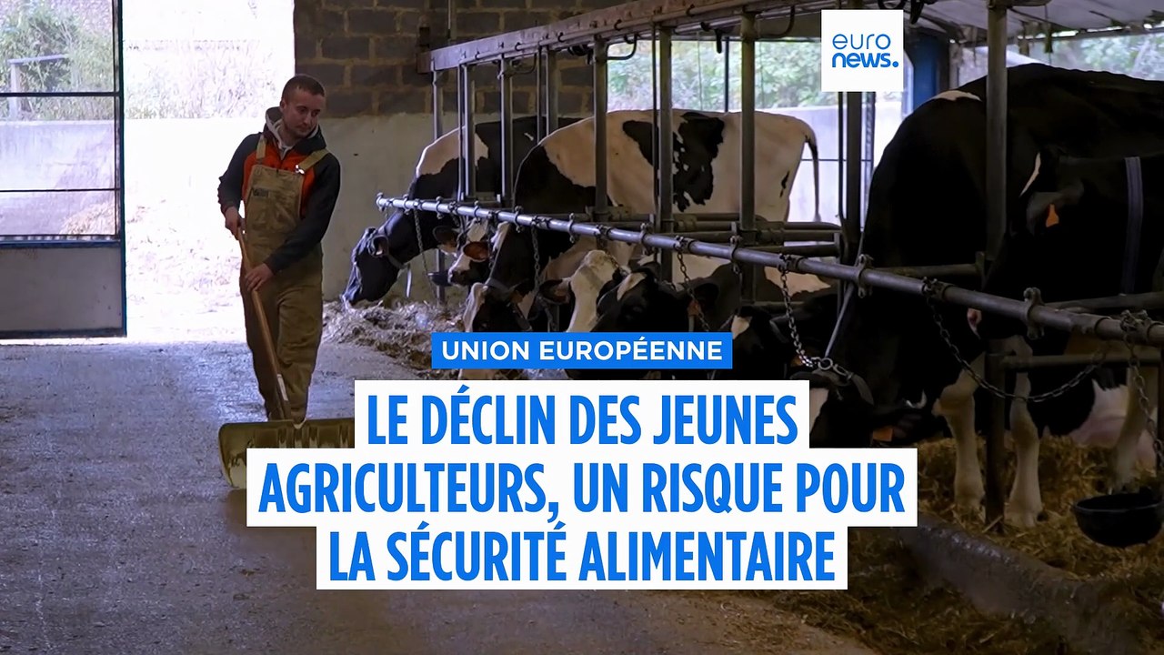 Le déclin des jeunes agriculteurs, un risque pour la sécurité alimentaire en Europe