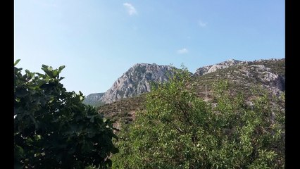 Türkülerle Türkiye - Iğdır - Aman Avcı Vurma Meni