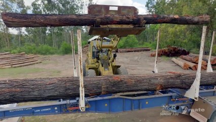 Outback Truckers S11E12 (2025)