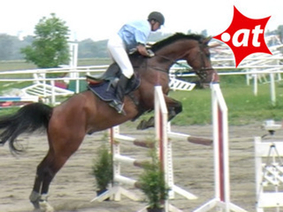 Andreas Sirninger, Springreiten, Kottingbrunn (2008-013)