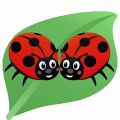 SERDAR ŞİMŞEK SEVİMLİ UĞUR BÖCEKLERİ GİF