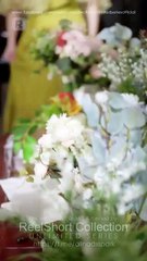 The Cursed Alpha's Mute Bride  #reelshort