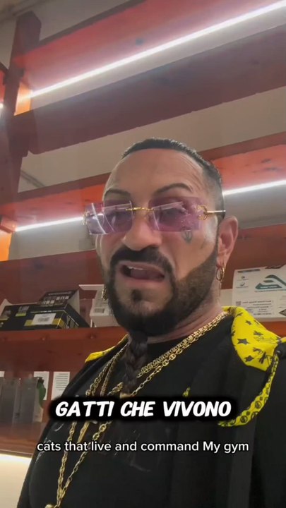 agozzino Alfredo i gatti occupano la palestra