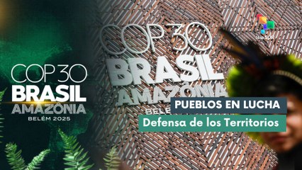 Participantes de la COP30 exigen el respeto a la vida