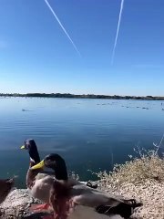 Bacoli (NA) - È rinato! Questo è il lago Fusaro.(11.11.25)