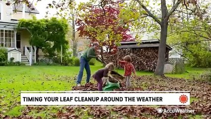 Tips for cleaning up your leaves before winter arrives