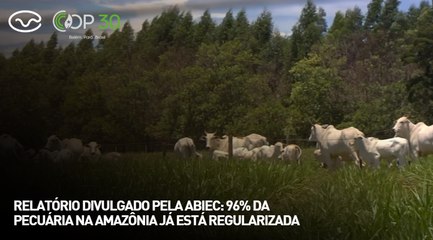 Relatório divulgado pela Abiec: 96% da pecuária na Amazônia já está regularizada