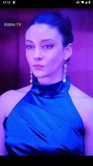 retired not retiring dailymotion