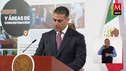 Hay 37,000 detenidos y 300 toneladas de droga: ¿Baja el crimen en México?