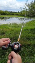 Pescando en lagunas de caminos rurales 🎣🌲