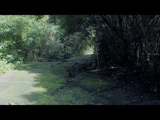 (O gemer cine) @entradas