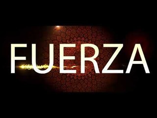 Gran Circo acrobático de China @entradas