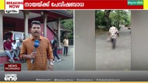 'പട്ടികളെ വല്ല തായ്‌വാനിലേക്കോ നാഗാലാന്റിലേക്കോ കയറ്റി അയച്ച് കൂടെ'