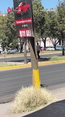 🥶 Aunque el frío pegue con todo, en Durango las cuadrillas siguen con los trabajos de bacheo y recarpeteo 👷🏻🚧