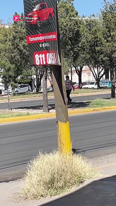 🥶 Aunque el frío pegue con todo, en Durango las cuadrillas siguen con los trabajos de bacheo y recarpeteo 👷🏻🚧