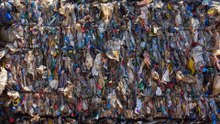 This Fungus Eats Plastic?! The 3-Minute Breakthrough