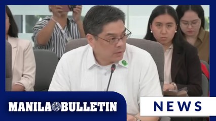 Hosaka pushes for ICI power to have professionals' licenses revoked for involvement in flood control project anomalies