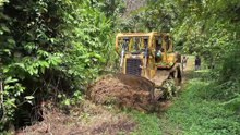 Mount Bulldozer D6R XL Plantation Road Service and Reviving Old Roads
