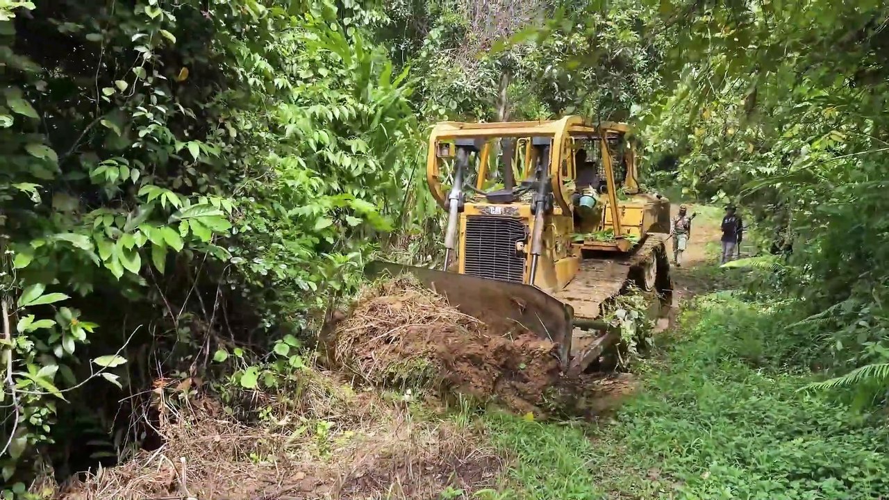 Mount Bulldozer D6R XL Plantation Road Service and Reviving Old Roads