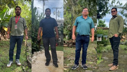 Los héroes silenciosos que luchan por las abejas