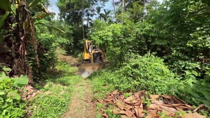 Old Road Bulldozer D6R XL Service for Better Plantation Roads