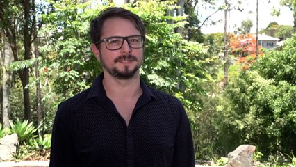 Bat colony causes Gympie council to consider property buyback scheme