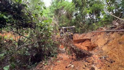 Easier Road Maintenance with the D6R XL Bulldozer in Mountain Plantations