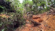 Easier Road Maintenance with the D6R XL Bulldozer in Mountain Plantations