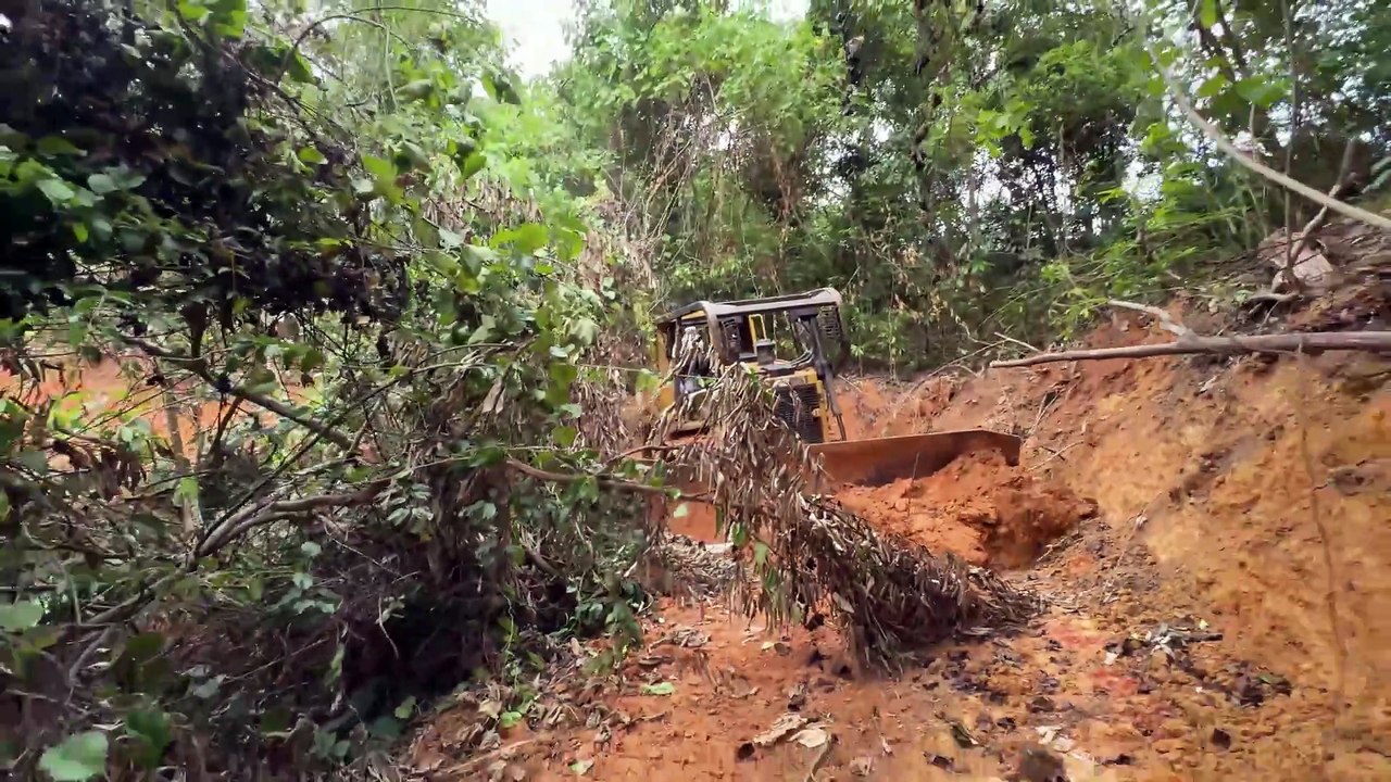 Easier Road Maintenance with the D6R XL Bulldozer in Mountain Plantations