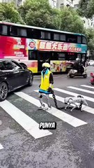 ROBOT ANOMALI YANG KOCAK