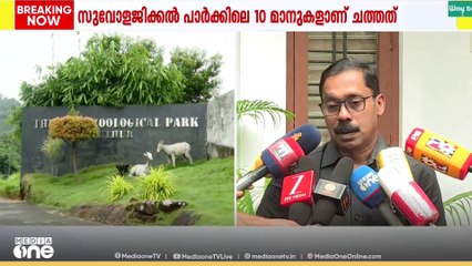 തൃശൂർ സുവോളജിക്കൽ പാർക്കിലെ മാനുകൾ ചത്തത് തെരുവ് നായ ആക്രമണം മൂലം; സ്ഥിരീകരിച്ച് ഡോ. അരുൺ സക്കറിയ