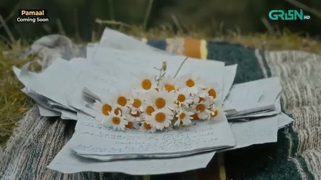 O Harjai OST PAMAAL 🎶 Singer Shahid Amin Ft. Saba Qamar - Usman Mukhtar Green TV - Green TV Entertainment (360p, h264)