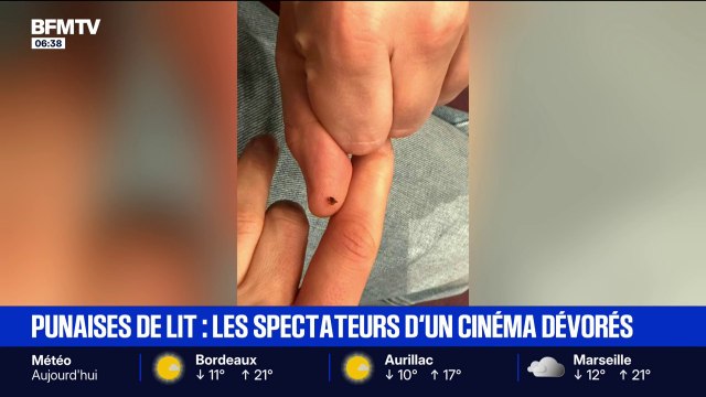 Sur les deux premiers rangs, c'était l'hécatombe : des spectateurs dévorés par des punaises de lit à la Cinémathèque de Paris