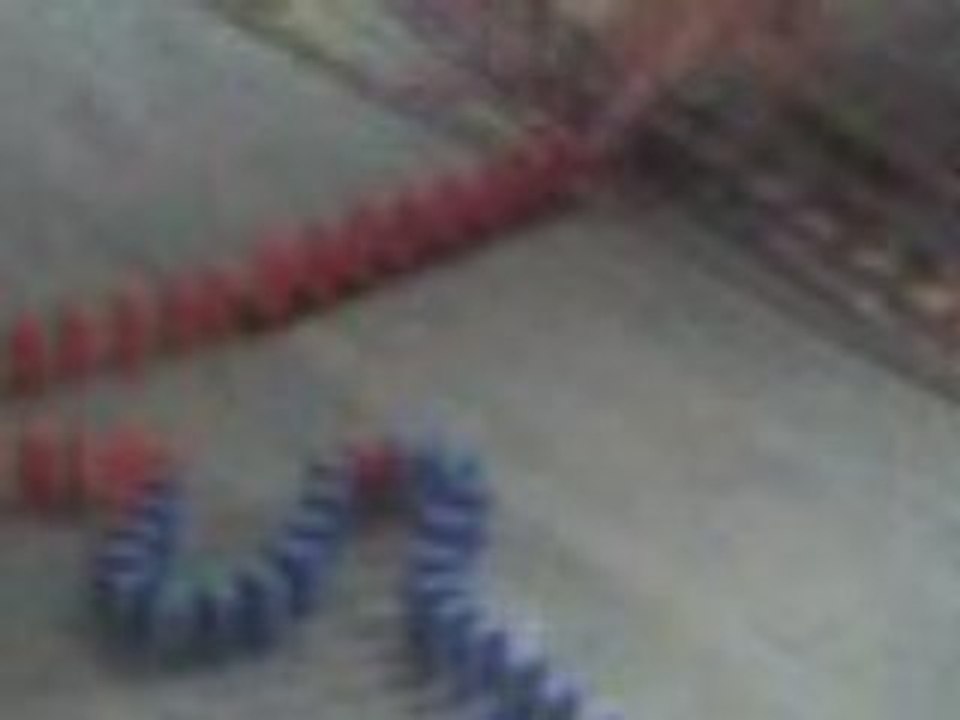 Domino day 5