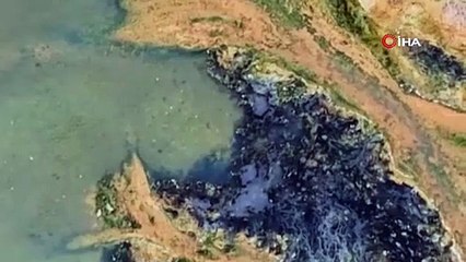 Ekşisu Sazlığı, 149 kuş türünü misafir ediyor