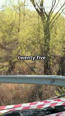 Hongqi Bridge Collapses Months After Opening | Sichuan Infrastructure Crisis