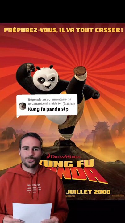 #4 Les critiques de Sylvain : Kung Fu Panda (un héros comme tout le monde).